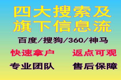 成功SEM托管代运营案例分析